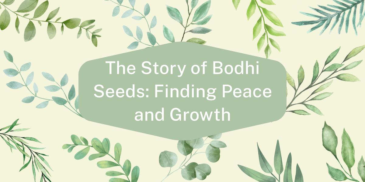 The Story of Bodhi Seeds: Finding Peace and Growth