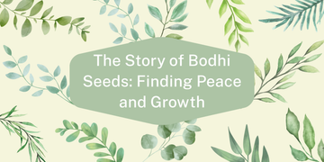 The Story of Bodhi Seeds: Finding Peace and Growth