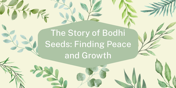 The Story of Bodhi Seeds: Finding Peace and Growth